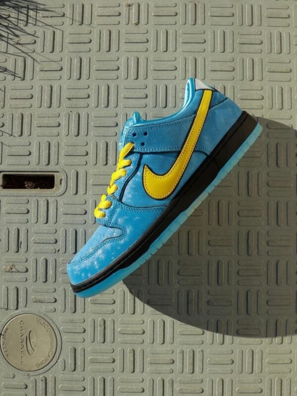 Nike SB Dunk Low Pro x
