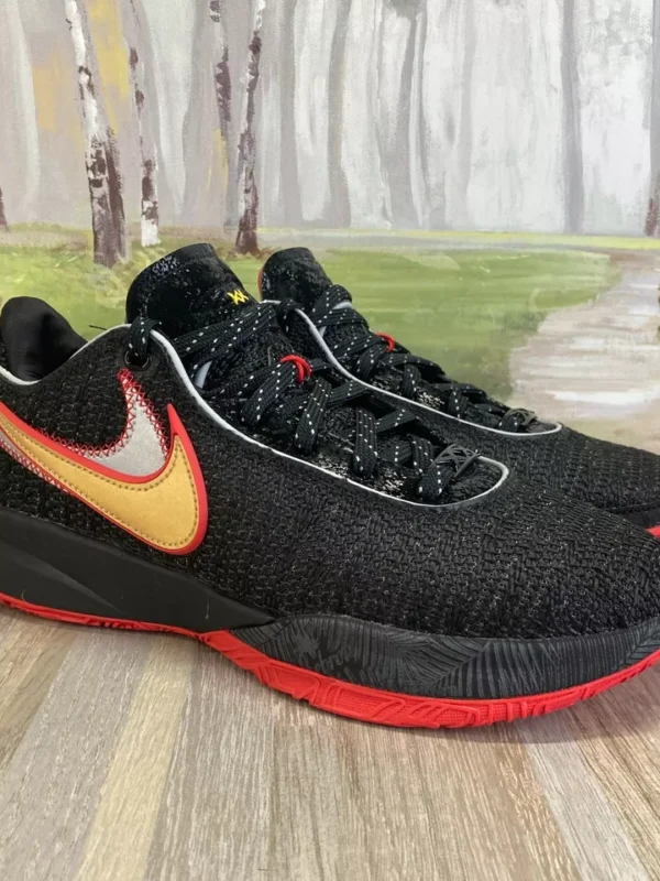 Nike LeBron 20 XX Low-Top Basketball Shoes